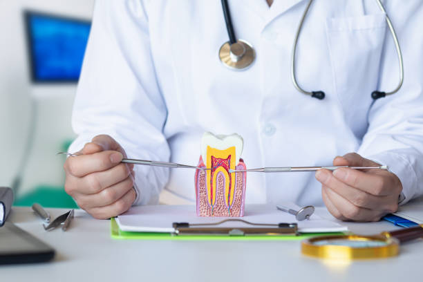 Best Pediatric Emergency Dentist in Smithville, TN